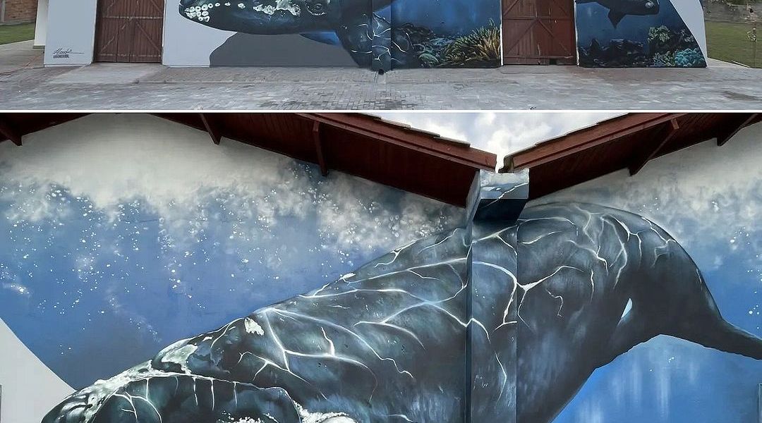 Ricardo Herok @ Imbituba, Brazil