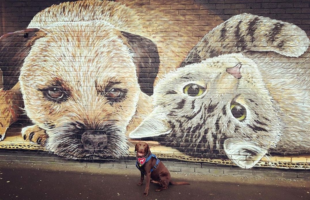 Rogue One @ Glasgow, UK