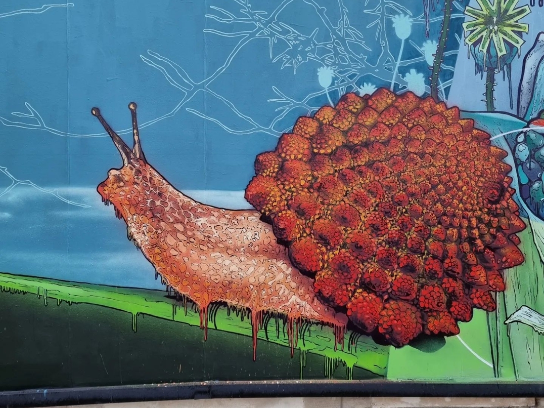 Saïr777 @ Poitiers, France