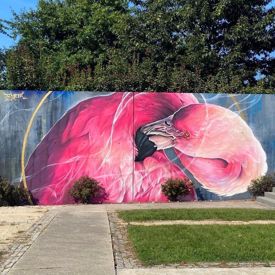 Smok @ Fafe, Portugal