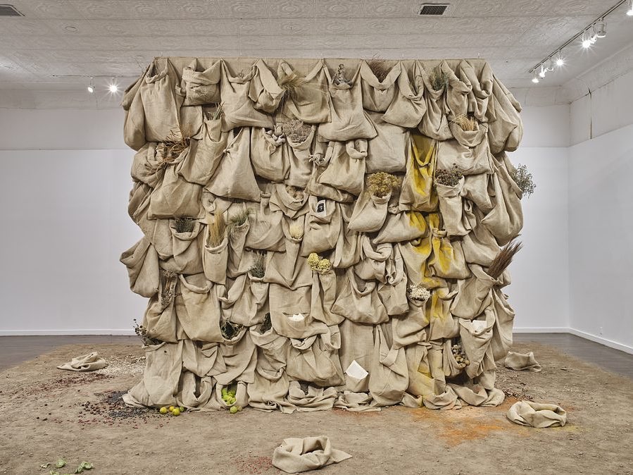 Untitled by Solange Pessoa