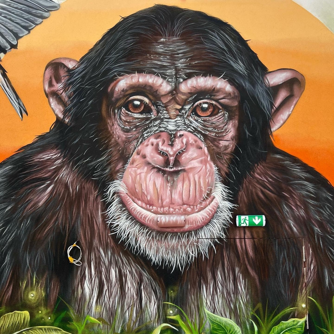 Stone Graffiti @ Göppingen, Germany