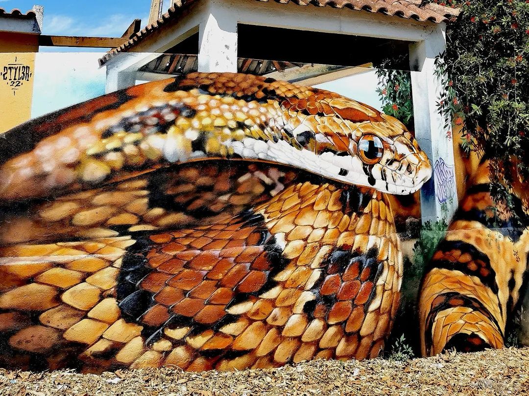 Styler @ Lisbon, Portugal