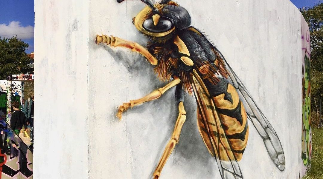 Loïko @ Toulon, France