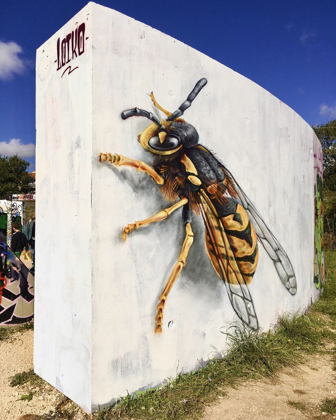 Loïko @ Toulon, France