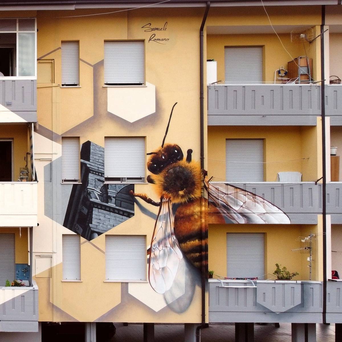 Samuele Romano @ Pescara, Italy