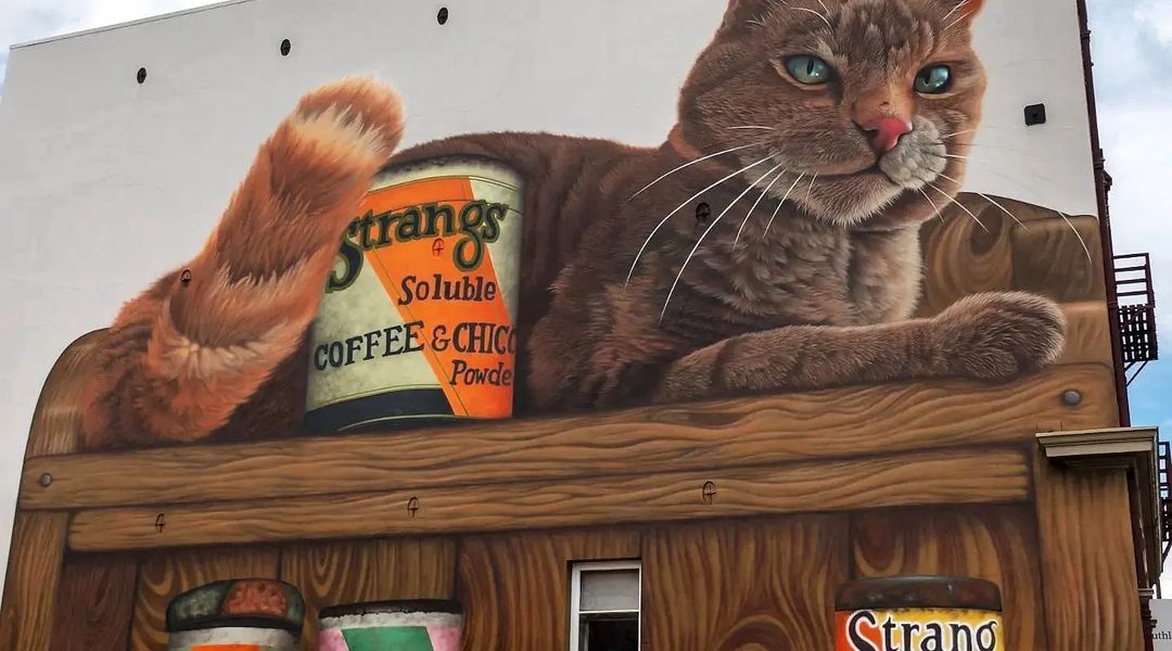 Swiftmantis @ Invercargill, New Zealand