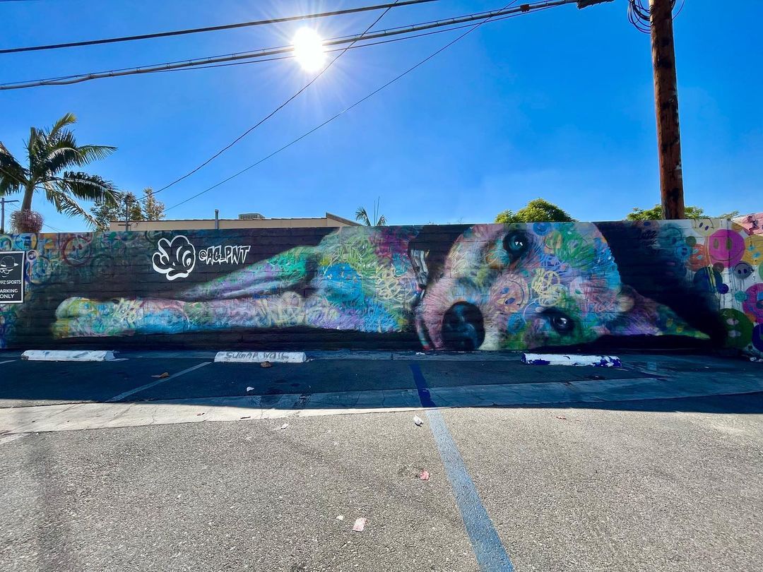 A-A-Ron @ Los Angeles, California, USA