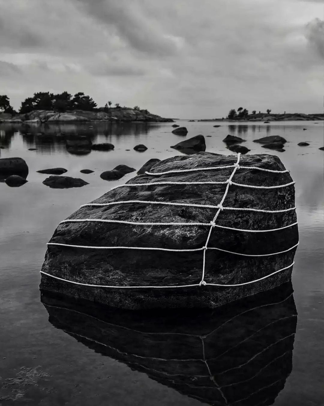 "Bond 36" by Anna Reivilä