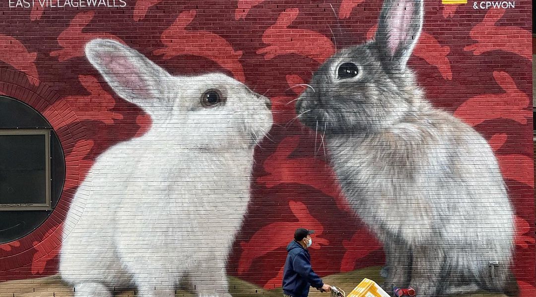 BKFoxx + Claudio Picasso @ New York, USA