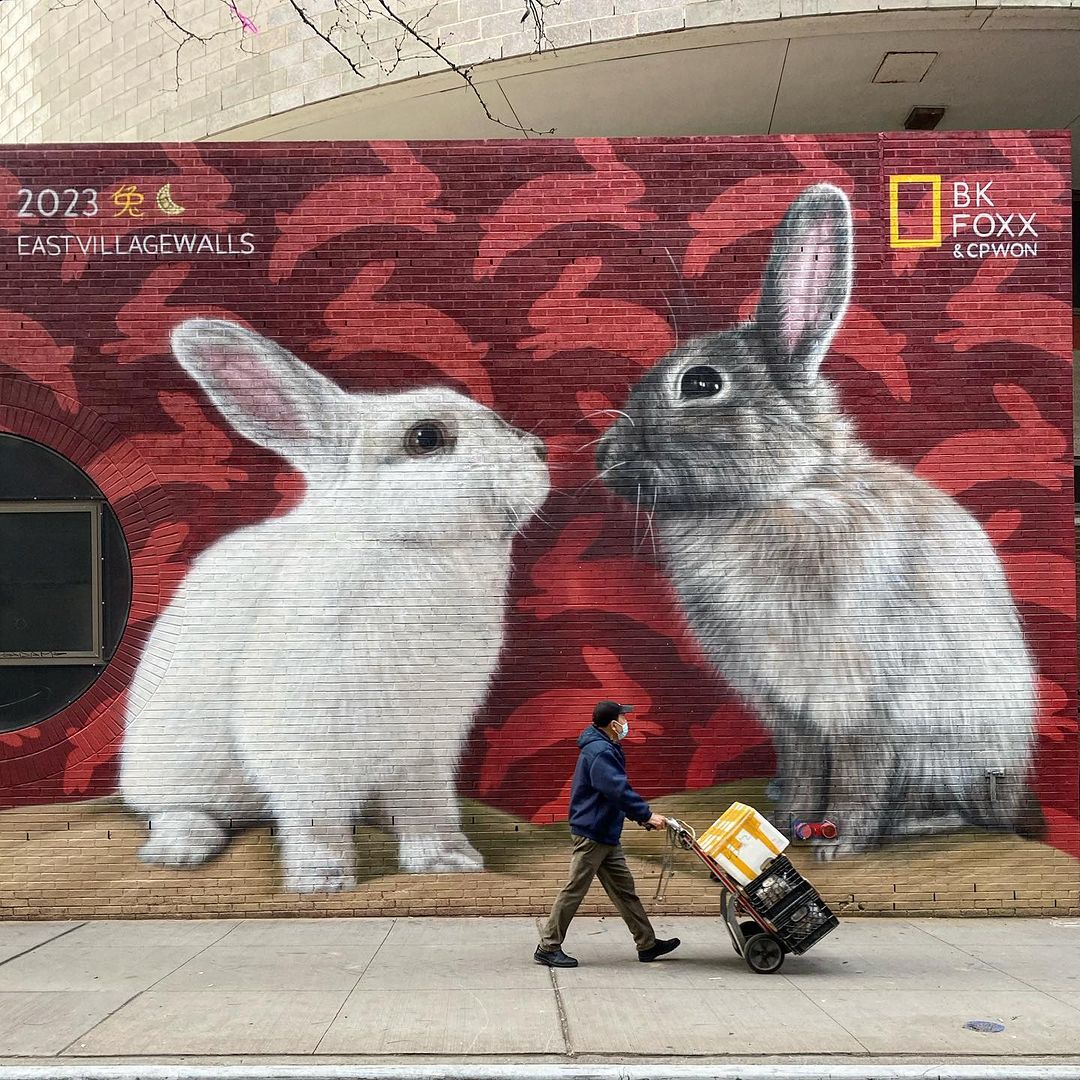 BKFoxx + Claudio Picasso @ New York, USA