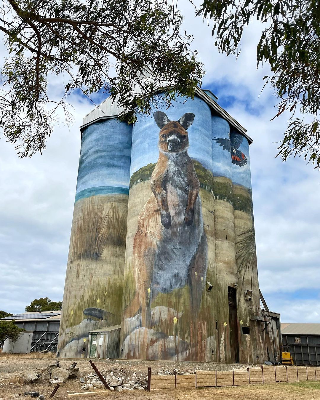 Camscale + A. Davis @ Kingscote, Australia