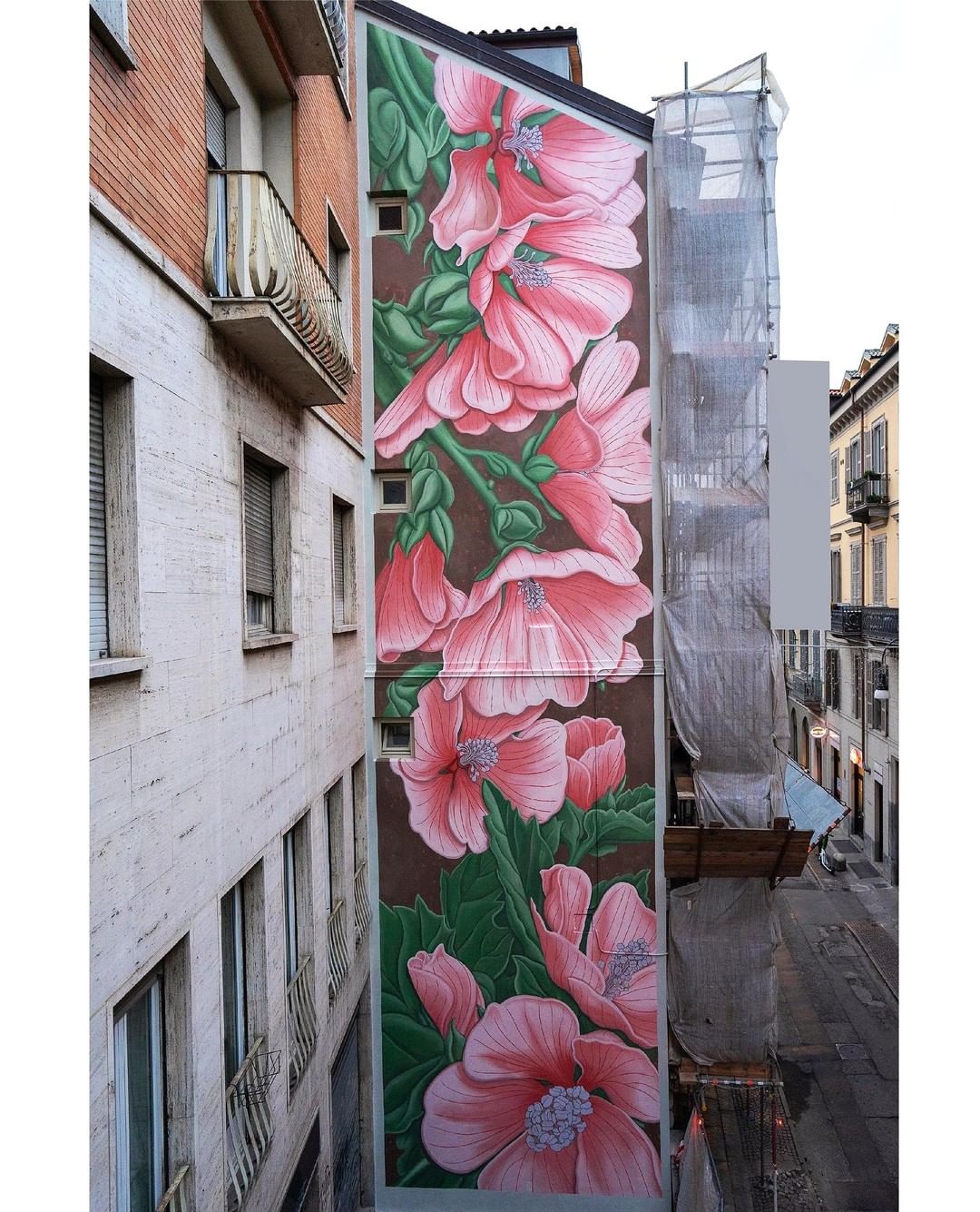 Doa oa @ Turin, Italy Doa oa @ Turin, Italy