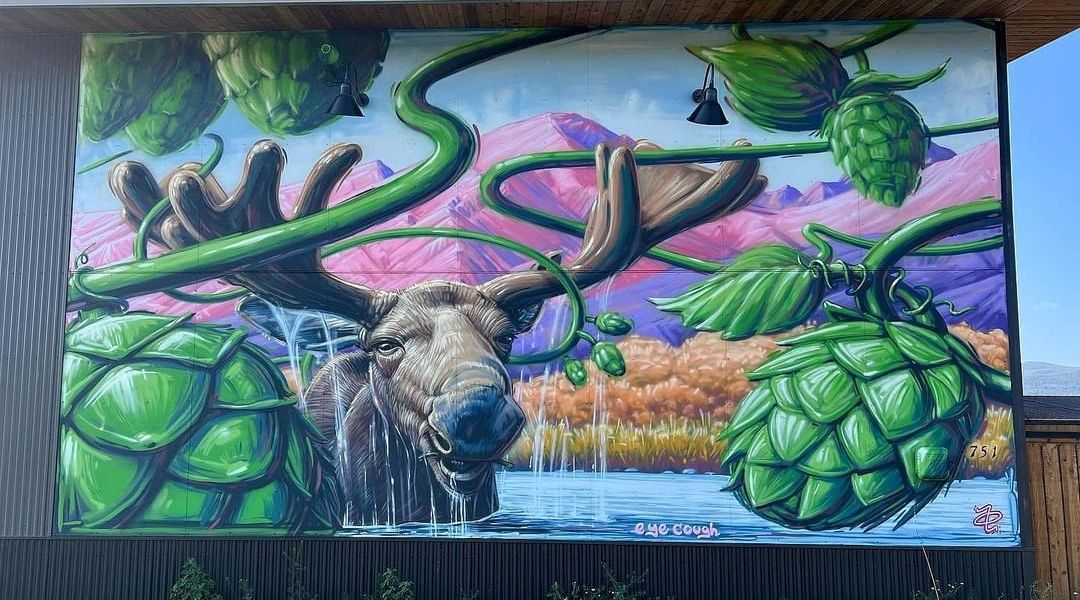 Eye cough @ Fraser, Colorado, USA