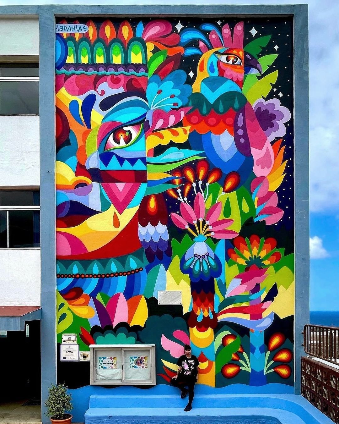 Ledania @ Buenavista del Norte, Spain Ledania @ Buenavista del Norte, Spain