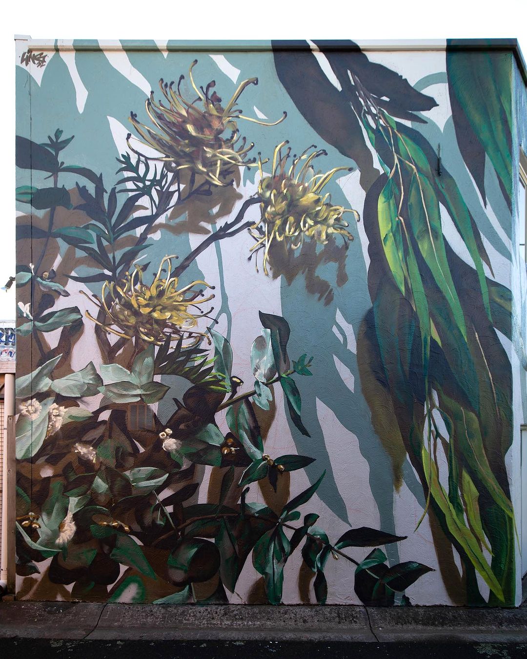 Ling @ Warragul, Australia