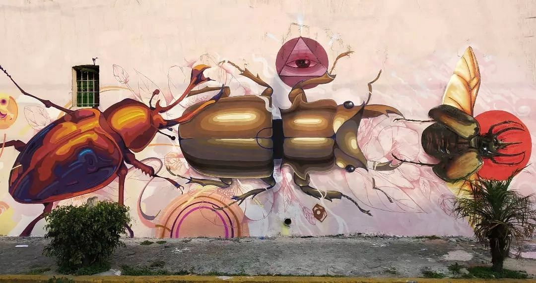 Losar @ Puebla, Mexico