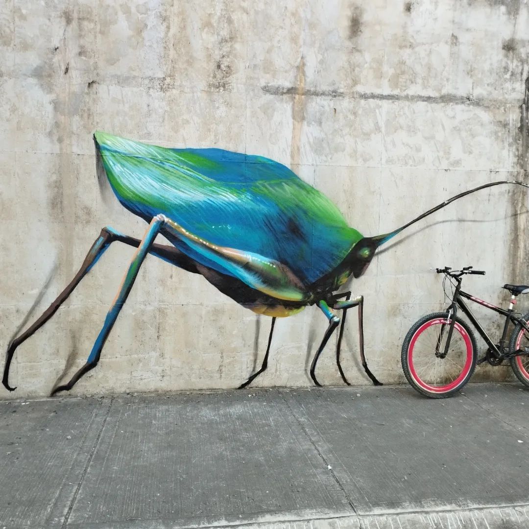 Omar Alonso @ Barranquilla, Colombia