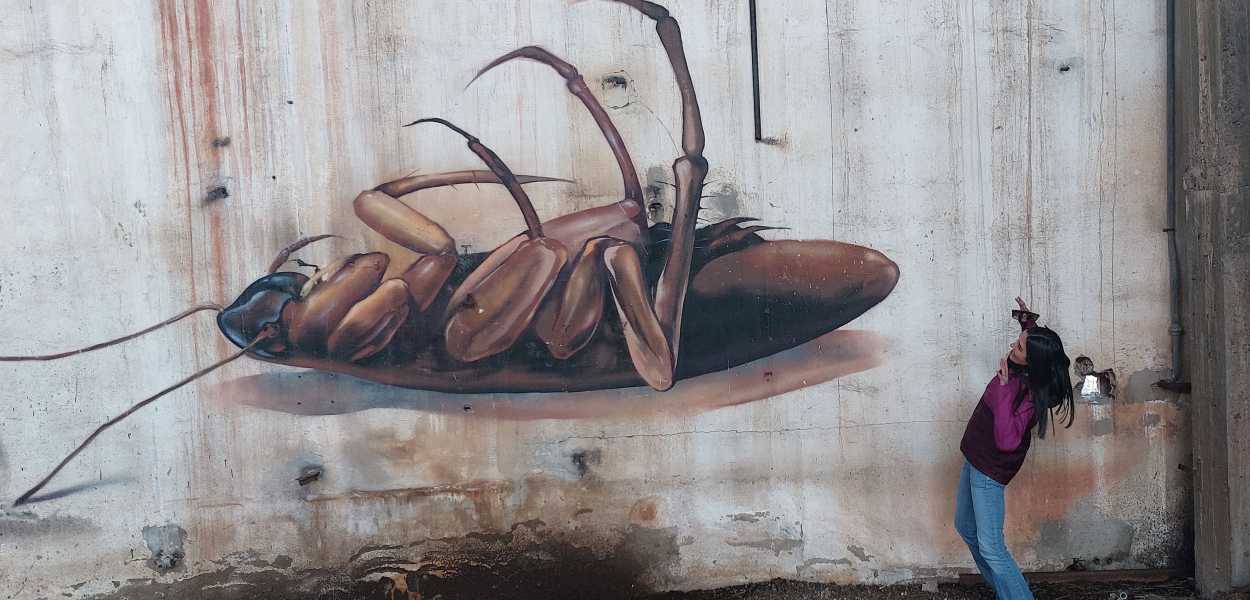 SKAN @ Cagliari, Italy