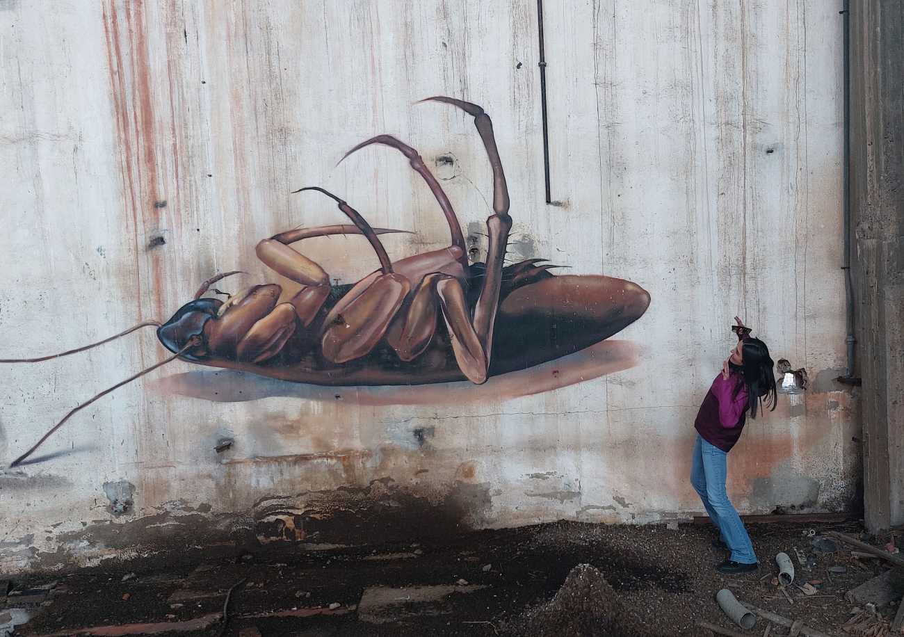 SKAN @ Cagliari, Italy SKAN @ Cagliari, Italy