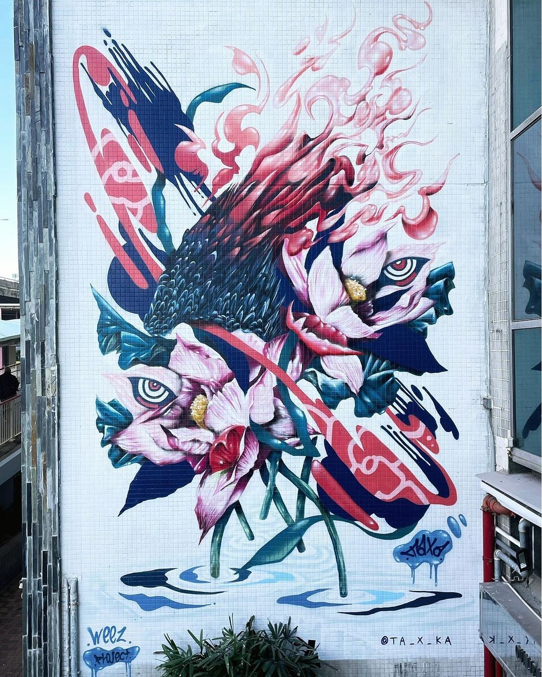 TAXA @ Hong Kong, China