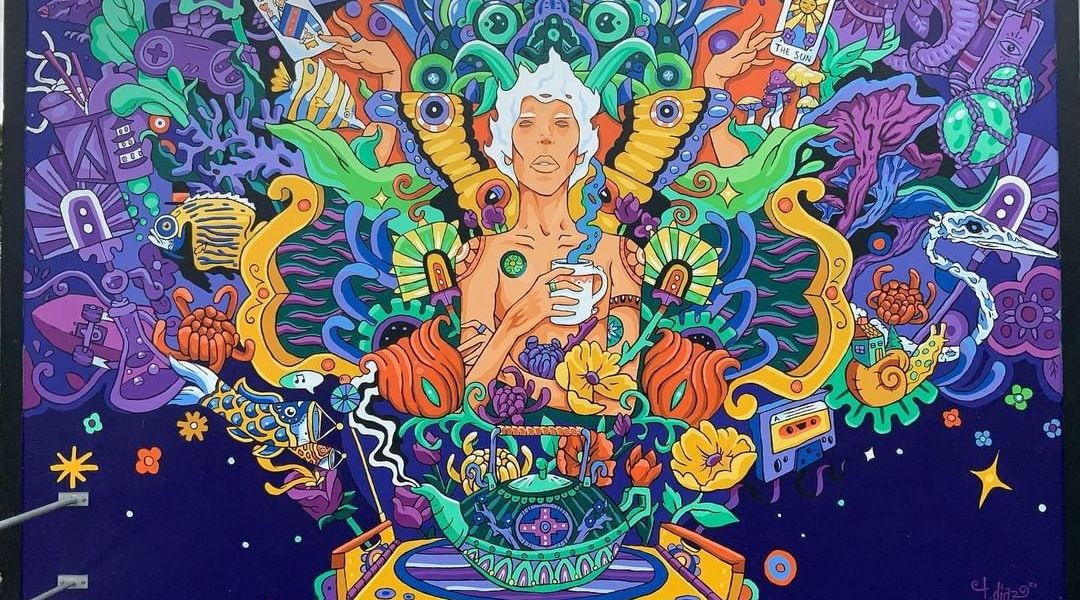 Tony Diaz @ Hamilton, New Zealand