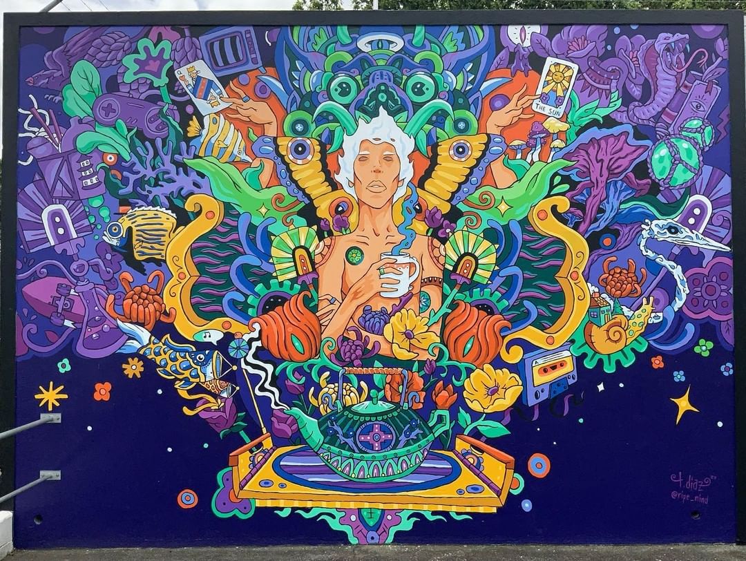 Tony Diaz @ Hamilton, New Zealand