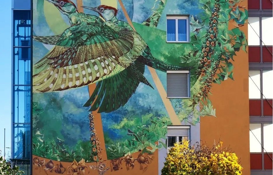 Video Oner + Sckre Farout @ Linz, Austria