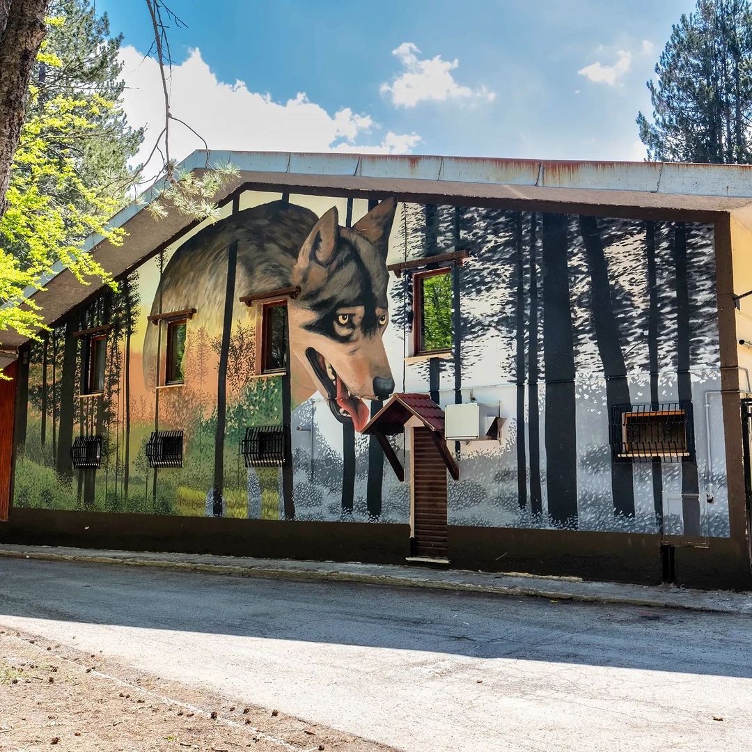 WEDO @ Camigliatello Silano, Italy