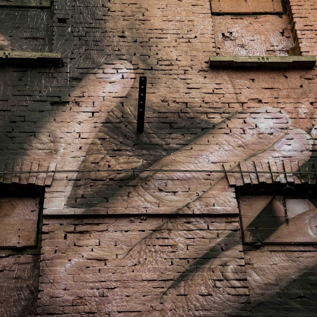 Bifido @ Gambettola, Italy