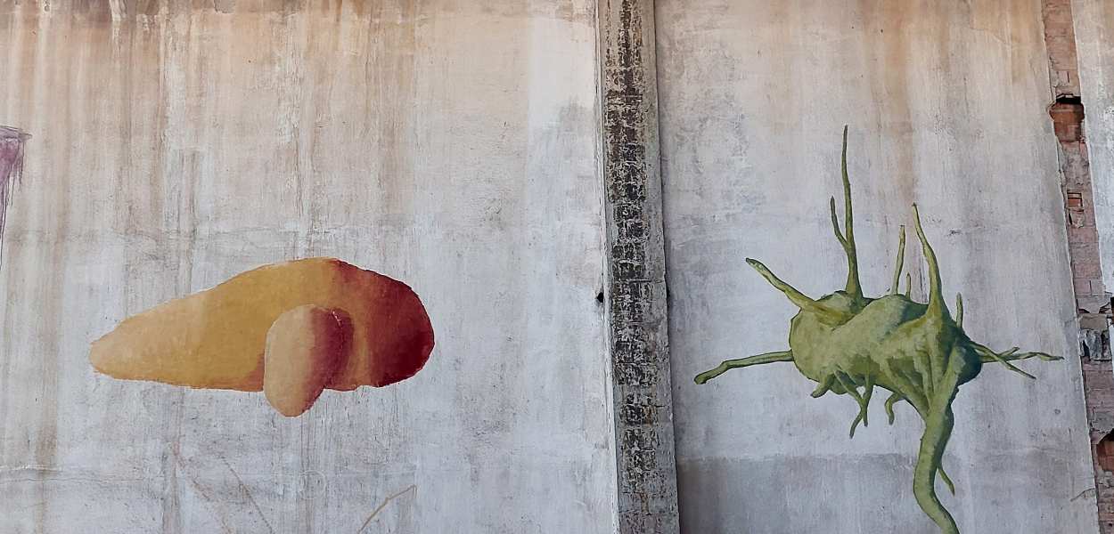 Daniele Gregorini @ Cagliari, Italy