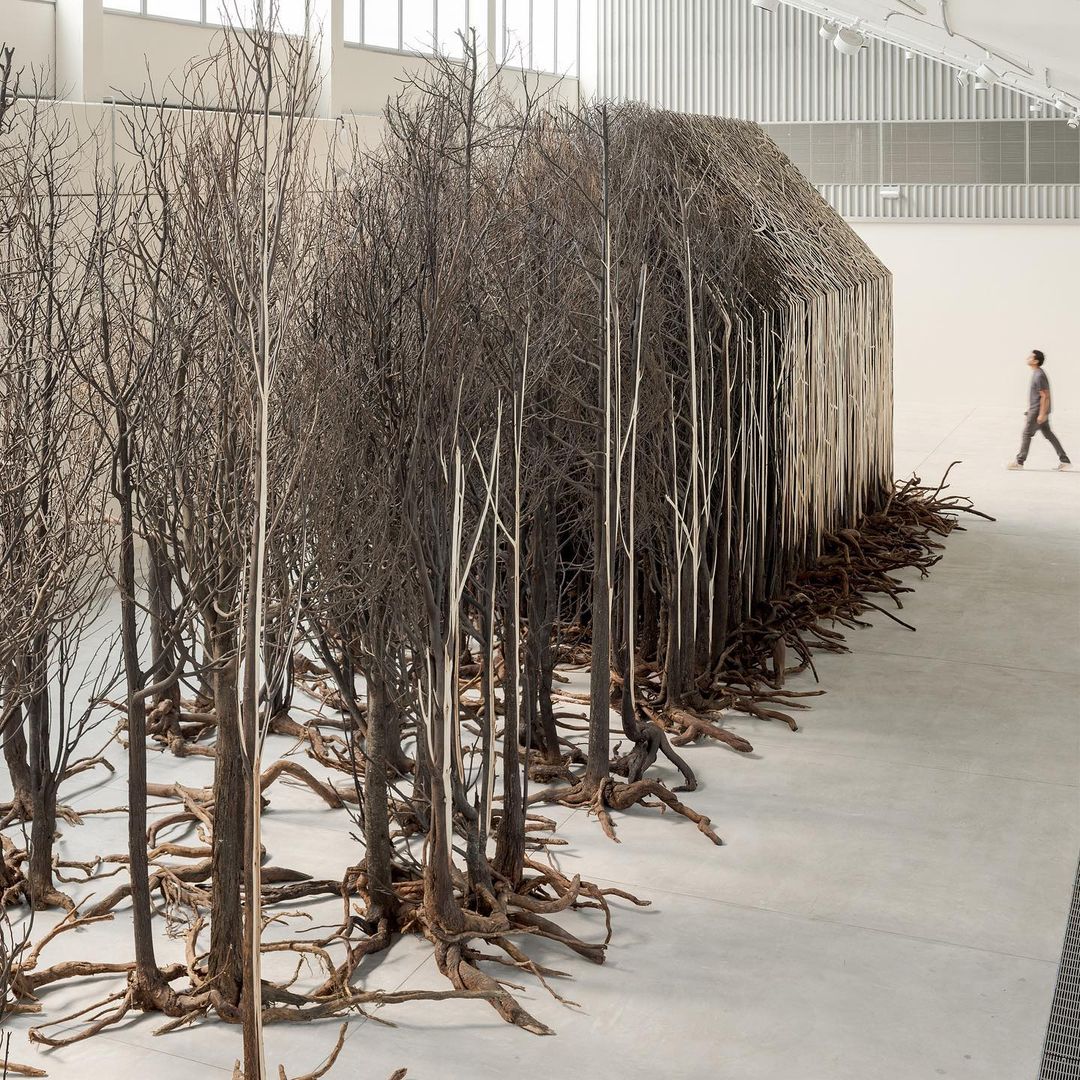 "Uprooted" by Doris Salcedo