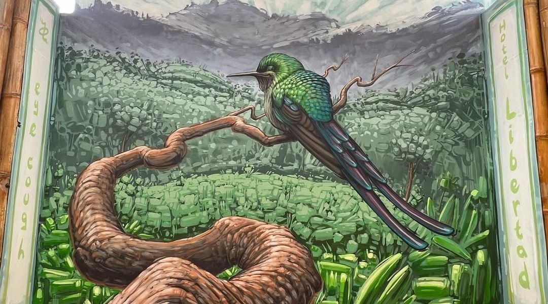 Eye cough @ Mindo, Ecuador