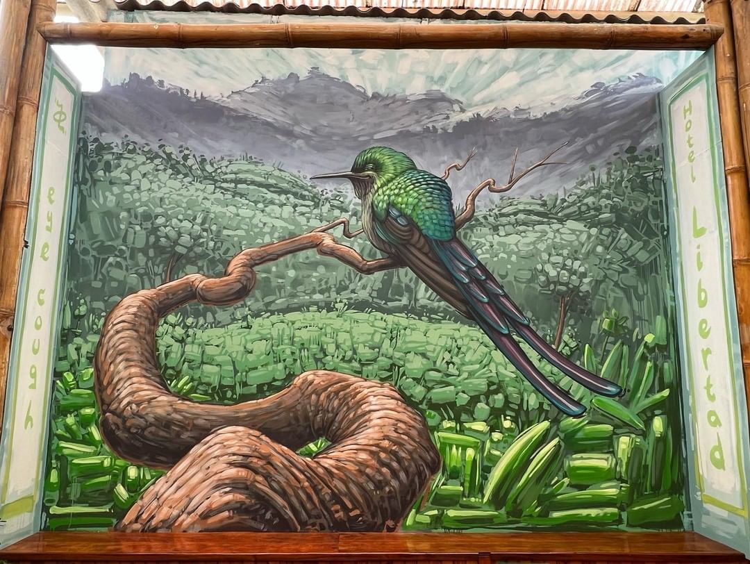 Eye cough @ Mindo, Ecuador