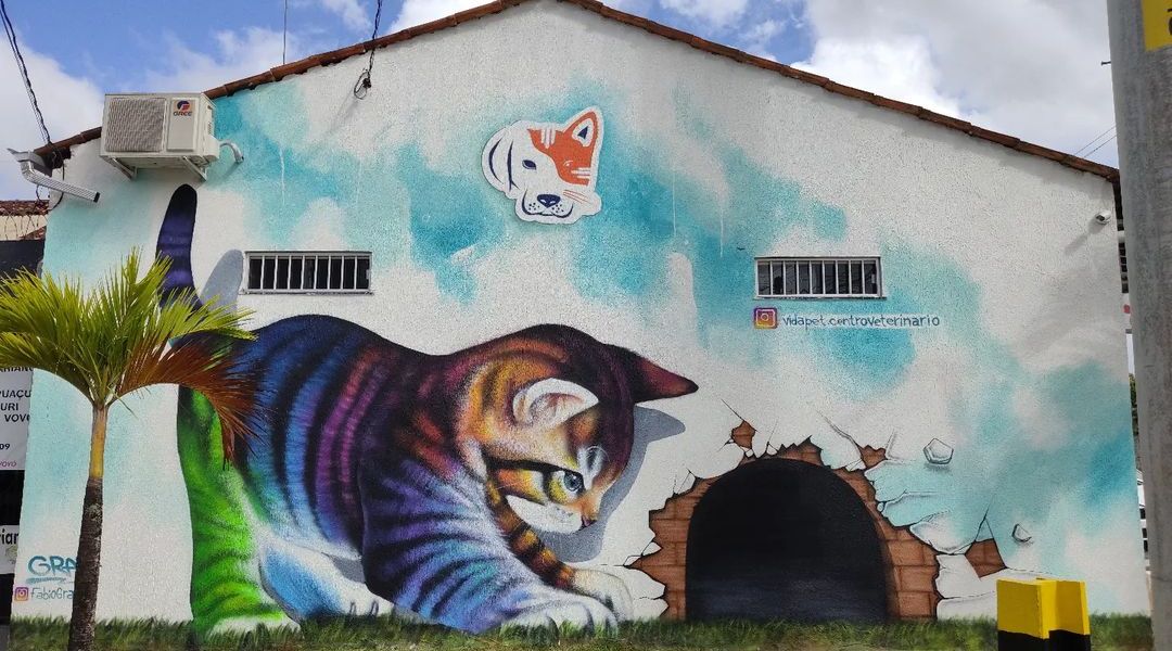 Fabio GRAF @ Castanhal, Brazil