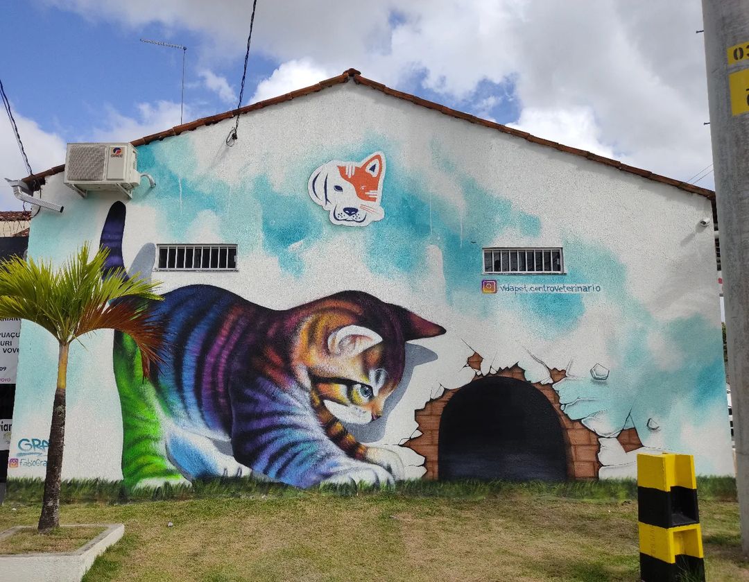 Fabio GRAF @ Castanhal, Brazil Fabio GRAF @ Castanhal, Brazil