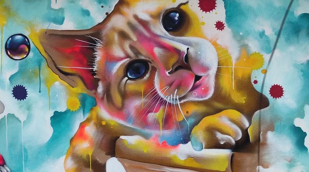 Fabio GRAF @ Castanhal, Brazil