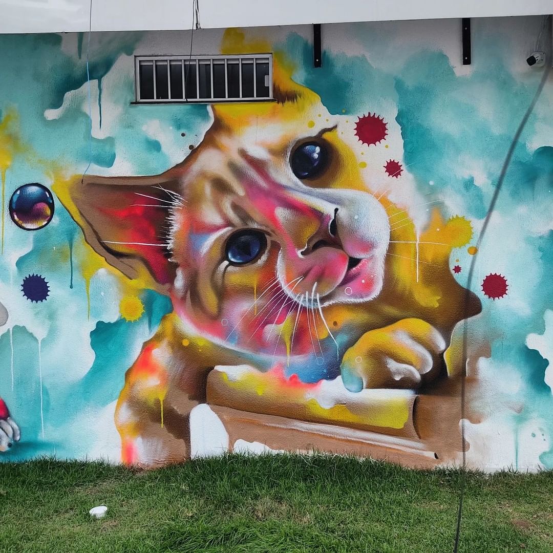 Fabio GRAF @ Castanhal, Brazil