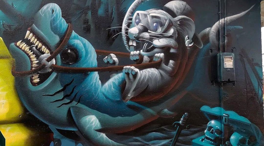 FAK @ Puerto Varas, Chile