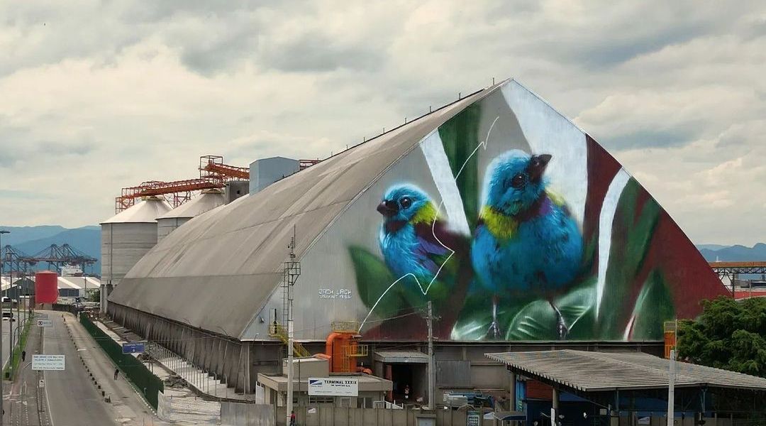 Jack Lack @ Santos, Brazil