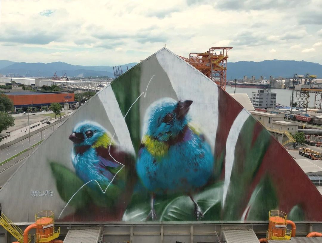 Jack Lack @ Santos, Brazil