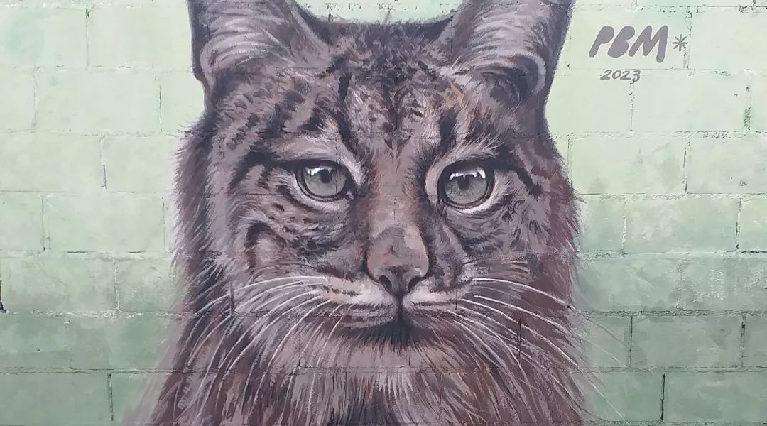 Pere Blanco Molina @ Barcelona, Spain