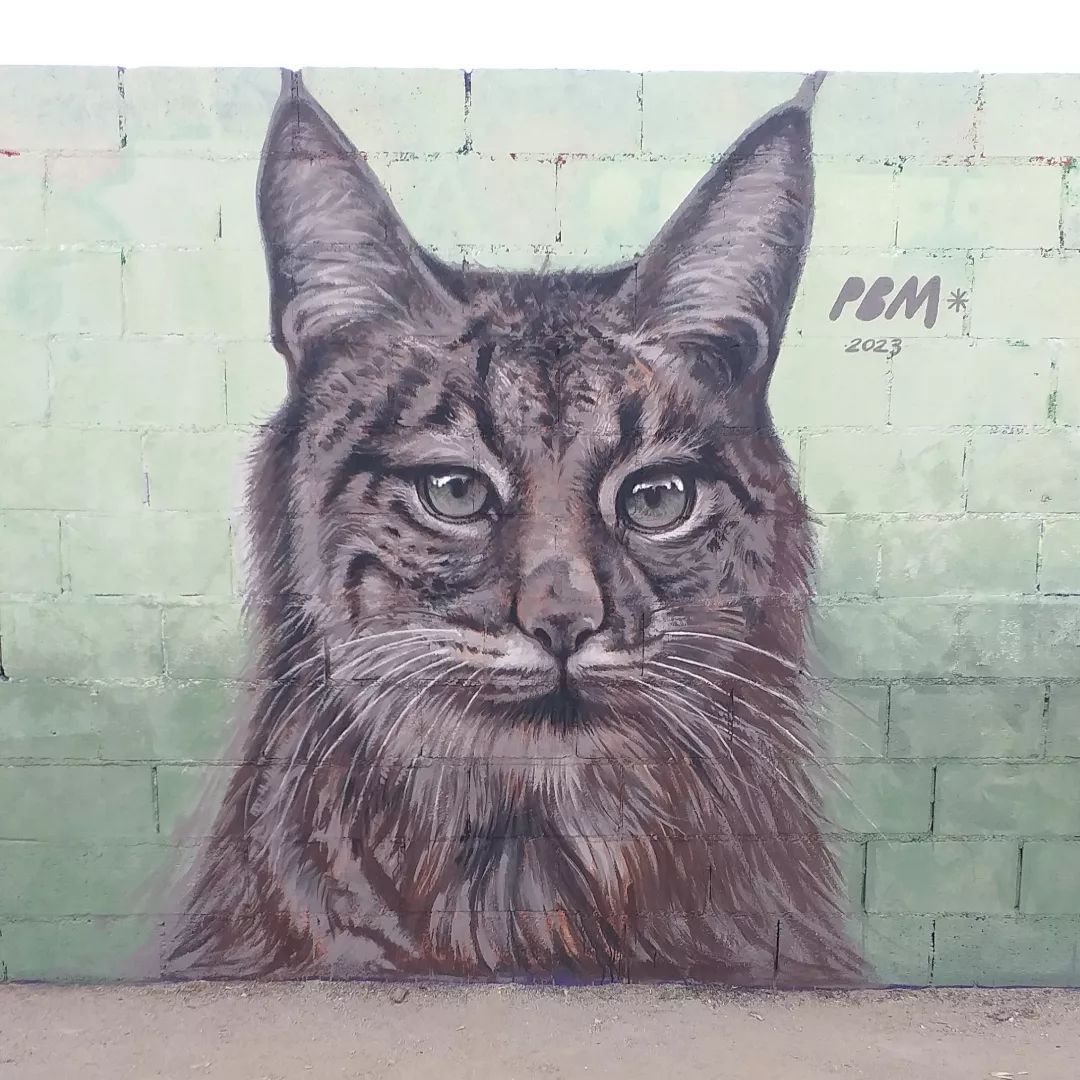 Pere Blanco Molina @ Barcelona, Spain