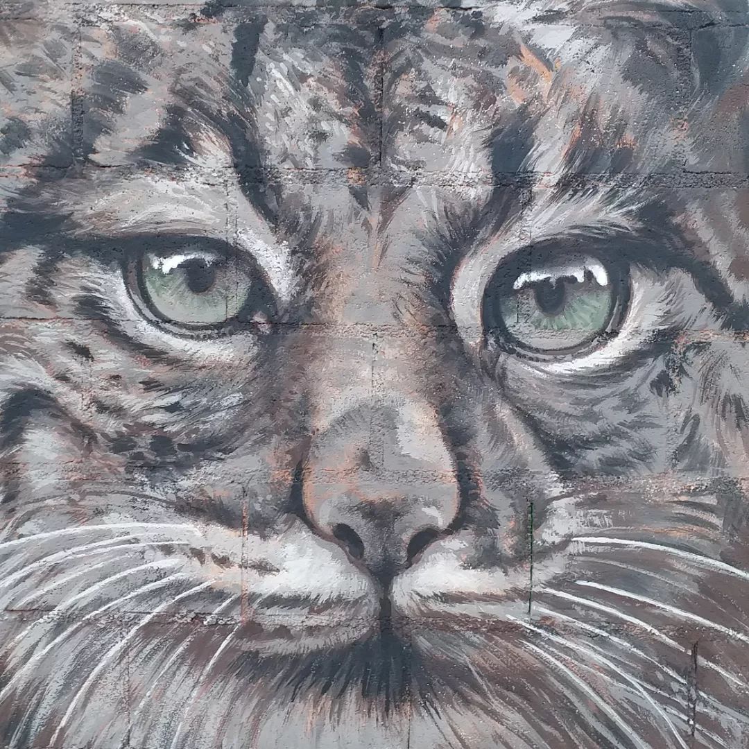 Pere Blanco Molina @ Barcelona, Spain