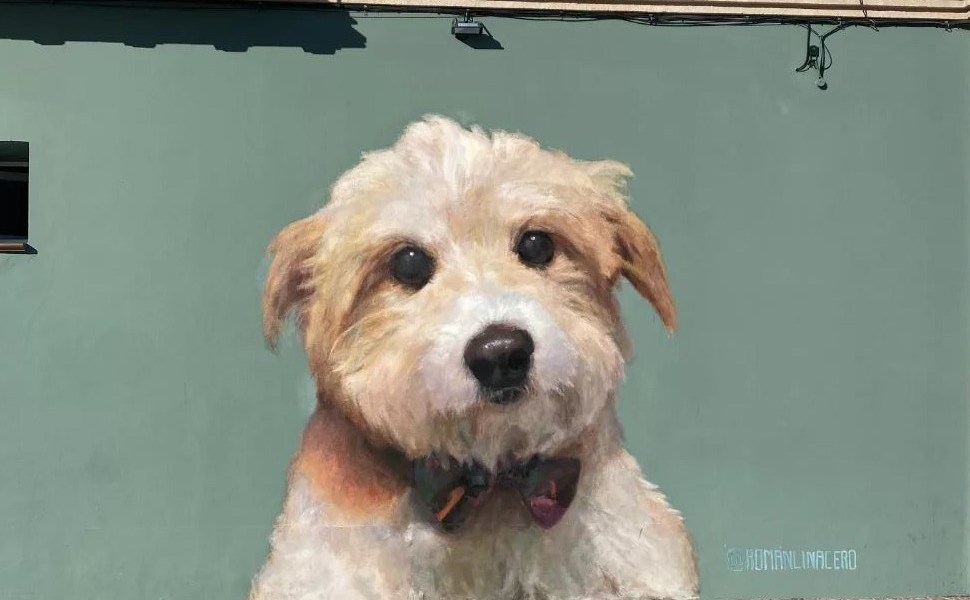 Román Linacero @ Nava de la Asunción, Spain