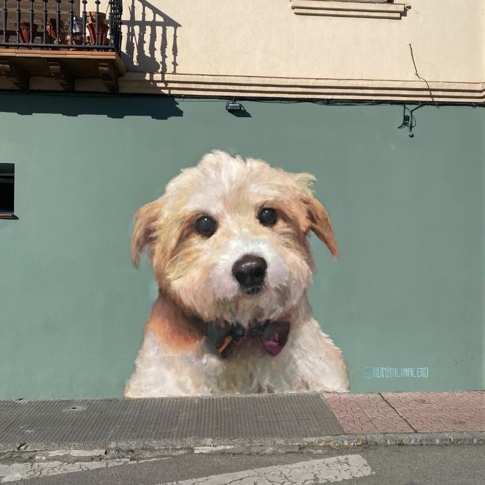 Román Linacero @ Nava de la Asunción, Spain Román Linacero @ Nava de la Asunción, Spain