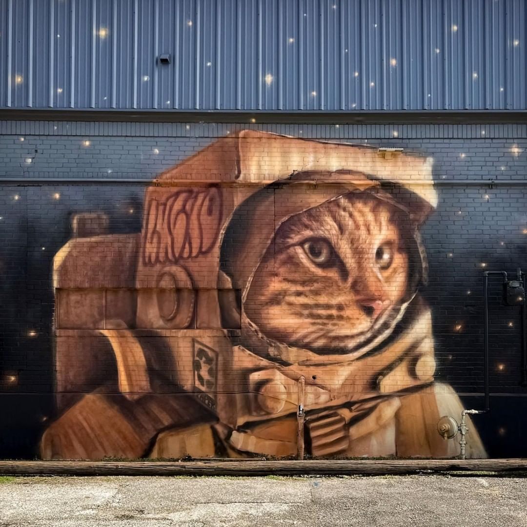 Sef @ Houston, Texas, USA