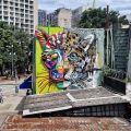 Bordalo II @ Sao Paulo, Brazil