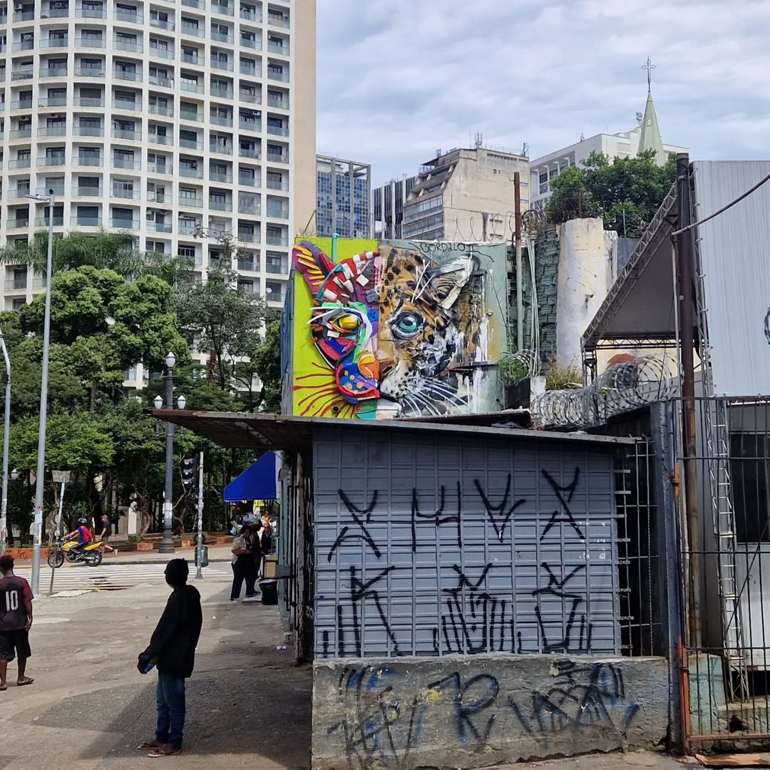 Bordalo II @ Sao Paulo, Brazil
