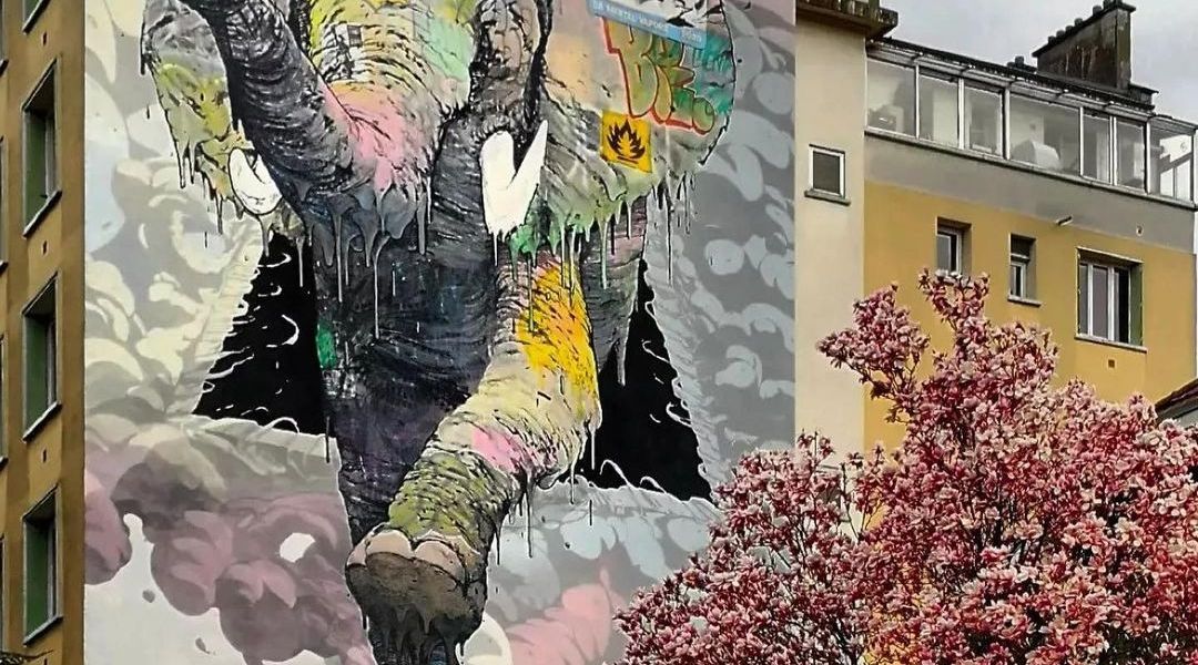 BRUSK @ Grenoble, France